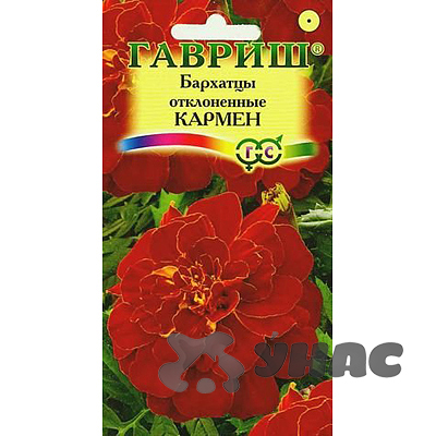 Бархатцы Кармен Гавриш Ц 