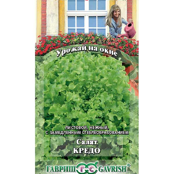 Салат Кредо Урожай на окне Гавриш Ц