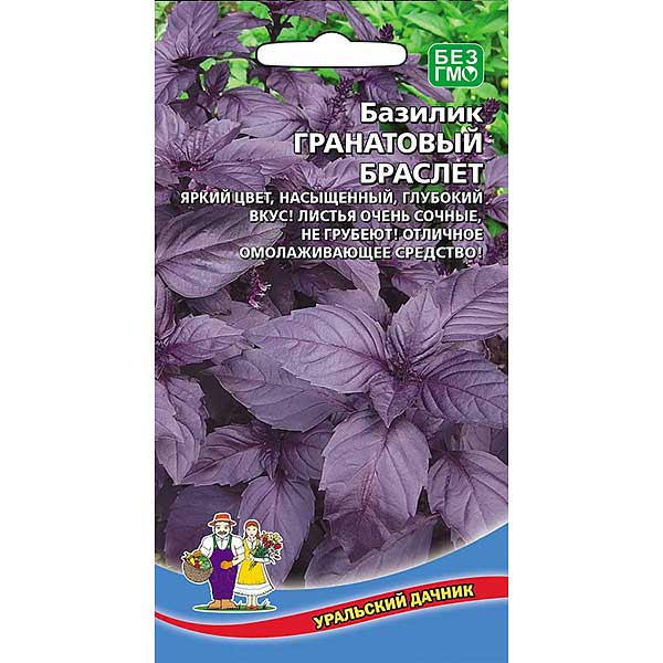 Базилик Гранатовый браслет Марс Ц