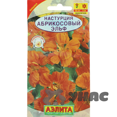 Настурция Абрикосовый эльф Аэлита Ц 