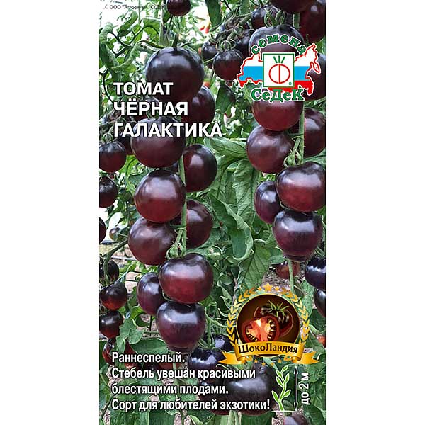 Семена Томат Черная галактика Седек