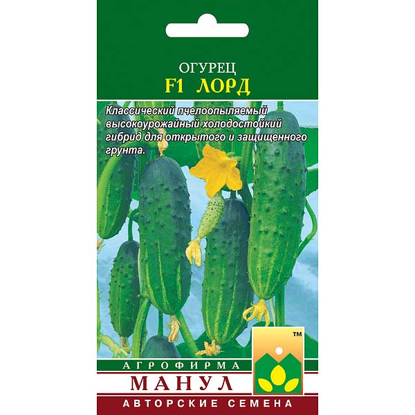 Огурец Лорд Манул Ц