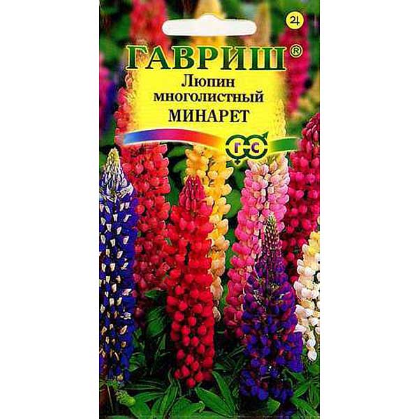 Люпин Минарет мн.Гавриш Ц 