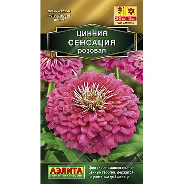 Циния Сенсация розовая Аэлита Цх10 