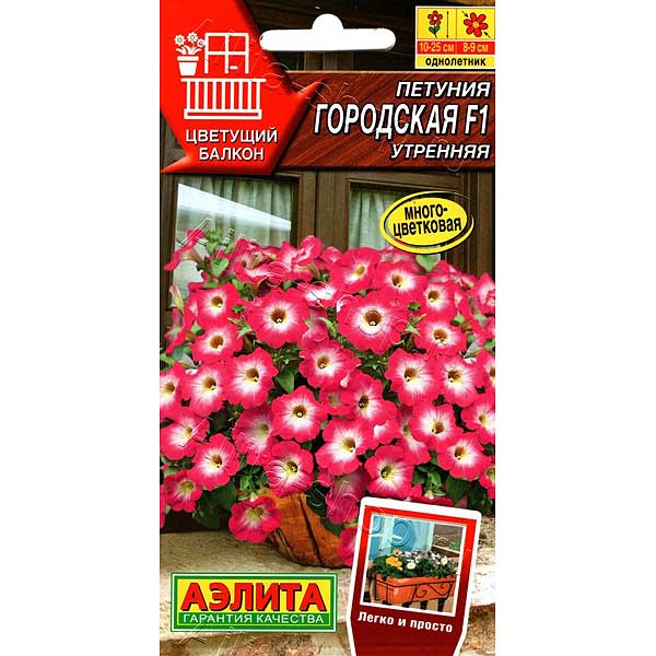 Петуния Городская утренняя Аэлита Ц 