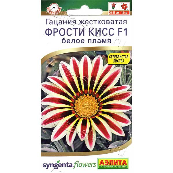 Гацания Фрости кисс Белое пламя Аэлита Ц 