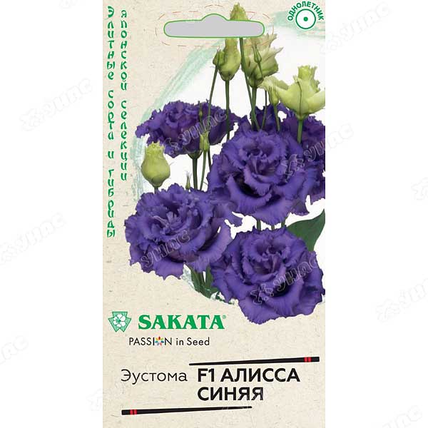 Эустома Алисса синяя Гавриш Ц 