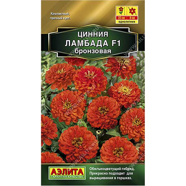 Циния Ламбада бронзовая Аэлита Цх10 