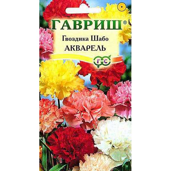 Гвоздика Шабо Акварель смесь Гавриш Ц 