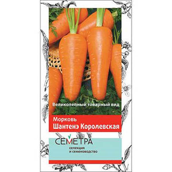 Морковь Шантенэ Роял Поиск Ц