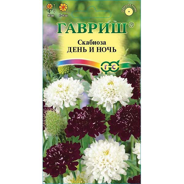 Скабиоза пурпурная День и ночь Гавриш Ц 