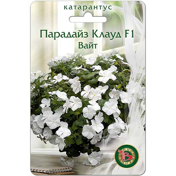 Катарантус Парадайз Клауд Вайт Биотехника Ц 