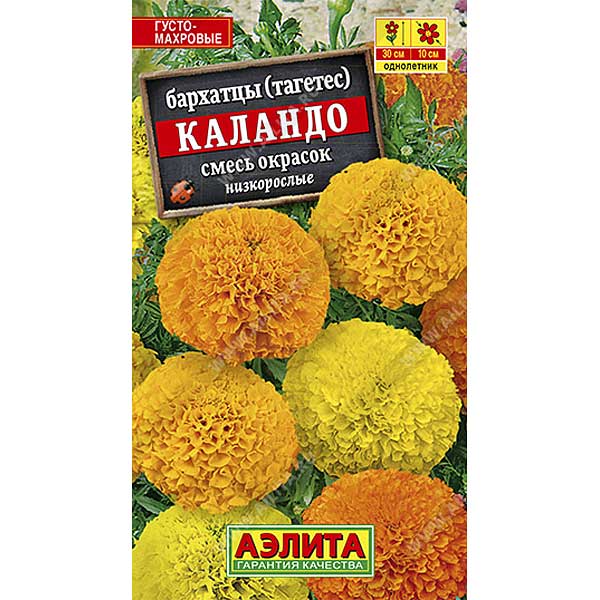 Бархатцы Каландо прямостоячие смесь Аэлита Ц 