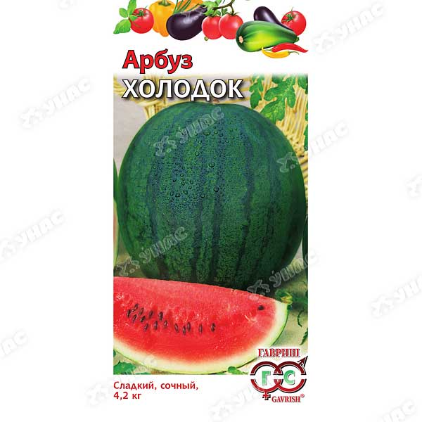 Арбуз Холодок Гавриш Ц