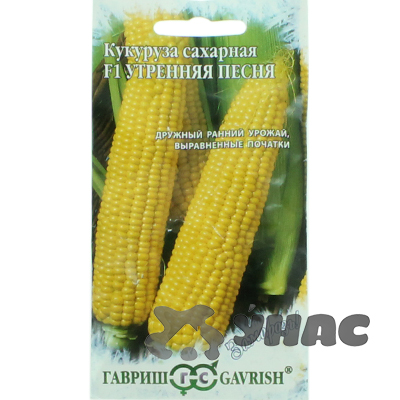 Кукуруза Утренняя песня Гавриш Ц