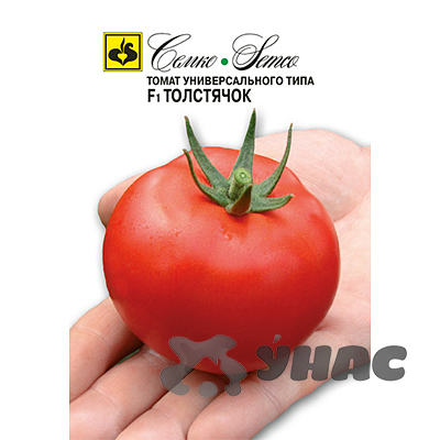 Семена Томат Толстячок Семко