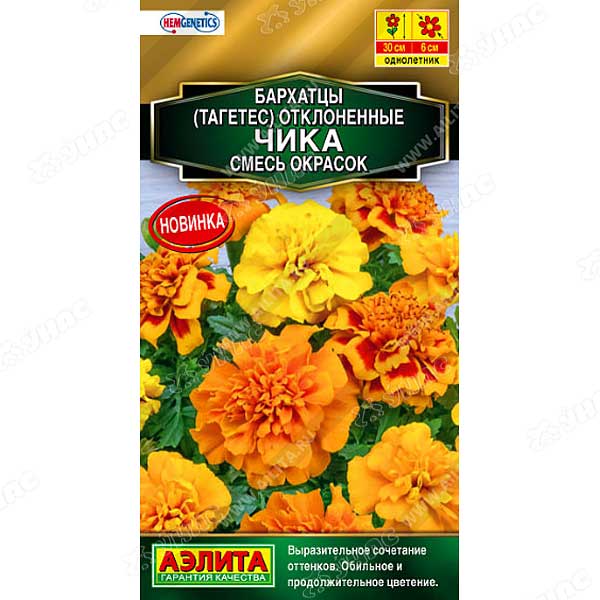 Бархатцы Чика Аэлита Ц 