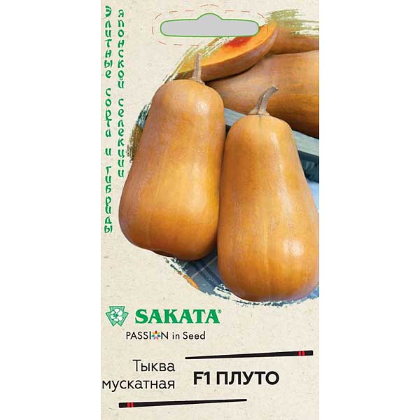 Тыква Плуто Гавриш Ц