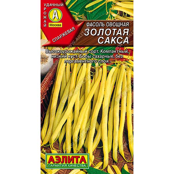 Фасоль Золотая сакса Аэлита Ц