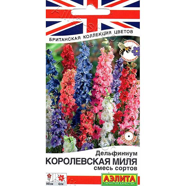 Дельфиниум Королеская миля Аэлита Ц х10 