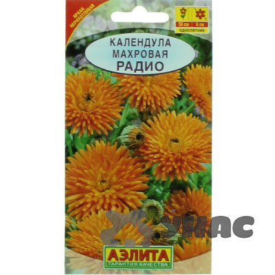 Календула Радио махровая Аэлита Ц 