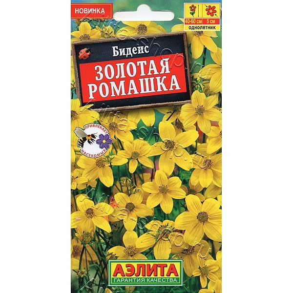 Биденс Золотая ромашка Аэлита Ц 