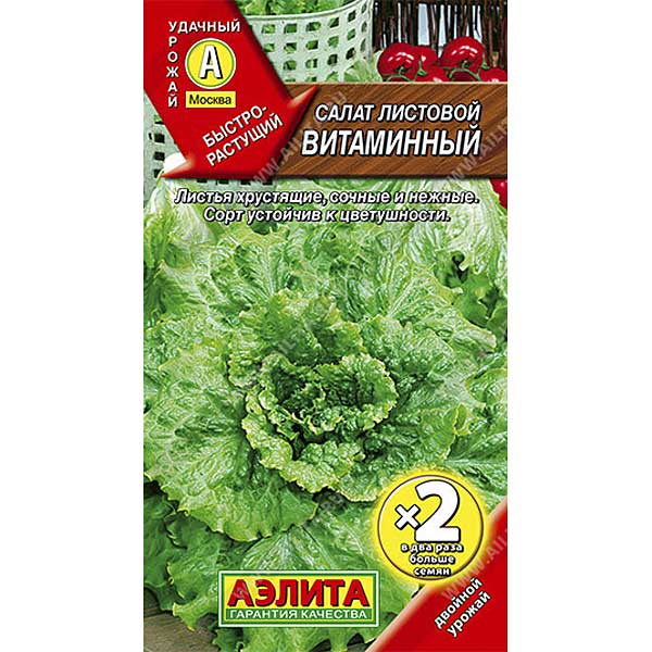 Салат Витаминный листовой Аэлита Ц