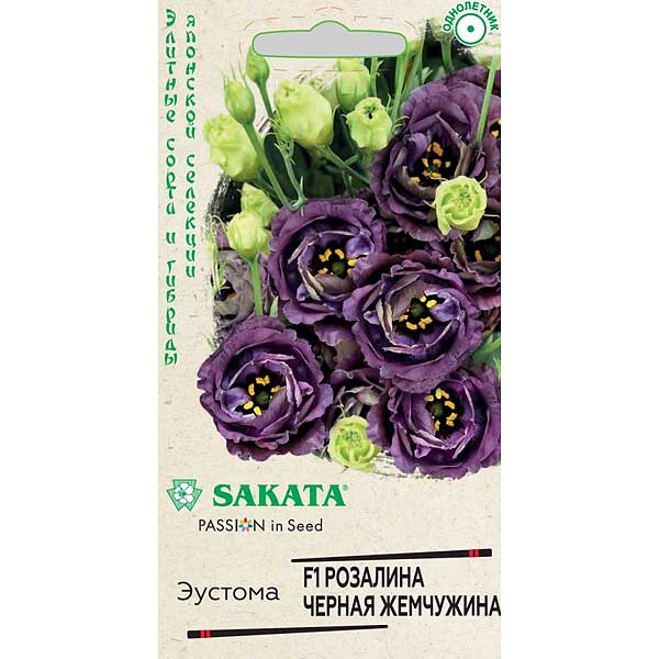Эустома Розалина Черная жемчужина Гавриш Ц 