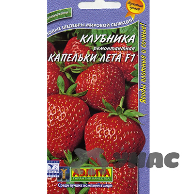 Земляника Капелька лета ремонт  Аэлита Ц Земляника Капелька лета ремонт  Аэлита Ц