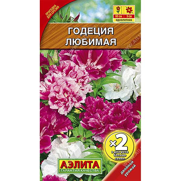 Годеция Любимая махр. х2-гр Аэлита Ц 