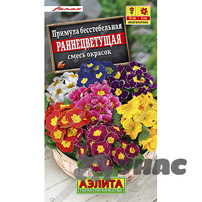 Примула Раннецветущая Аэлита Ц 