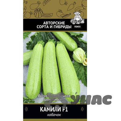 Кабачок Камили Поиск Ц