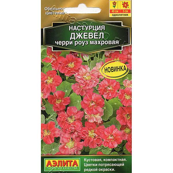 Настурция Джевел черри роуз махр Аэлита Ц 