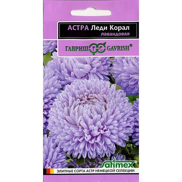 Астра Леди Корал Лавандовая (эксклюзив) Гавриш Ц 