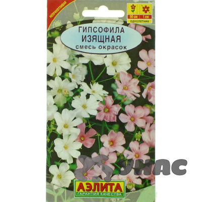 Гипсофила изящная Аэлита Ц 