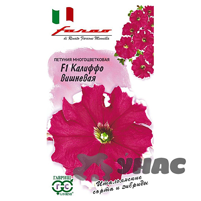 Петуния Калиффо вишневая Гавриш Ц 