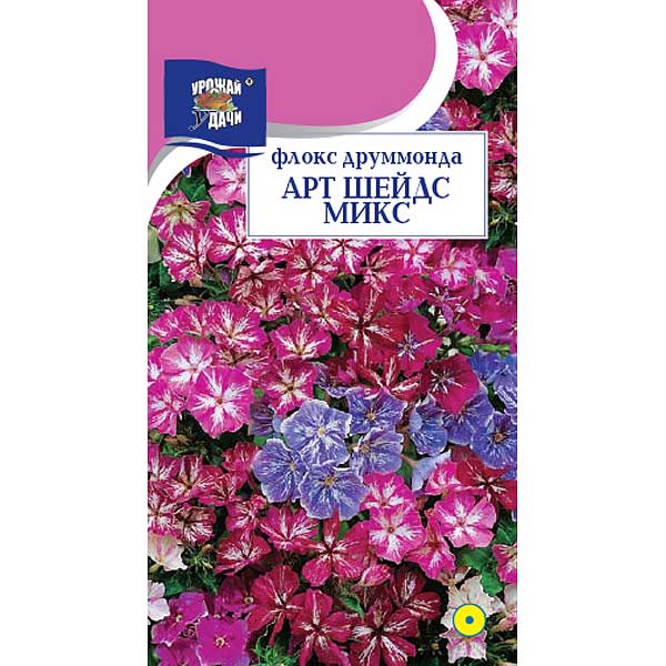 Флокс ред шейдс. Флокс арт шейдс микс. Флокс пурпл шейдс. Флокс перпл шейдз. Флокс друммонда калейдоскоп однолетник.