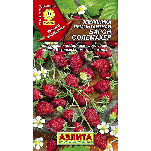 Земляника Барон Солемахер ремонт. Аэлита Ц