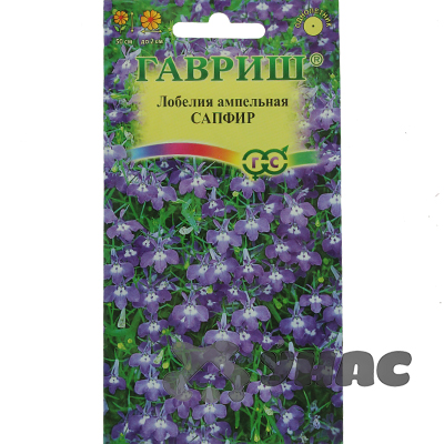 Лобелия Сапфир ампельная Гавриш Ц 
