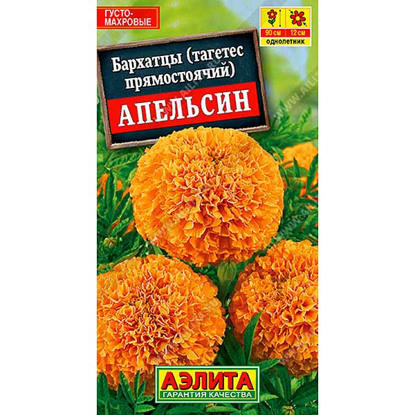 Бархатцы Апельсин Аэлита Ц 