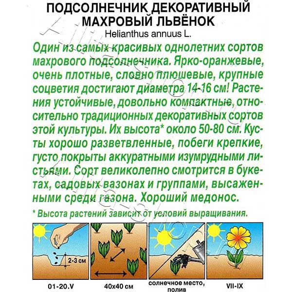 Подсолнечник Махровый львенок Аэлита Ц 