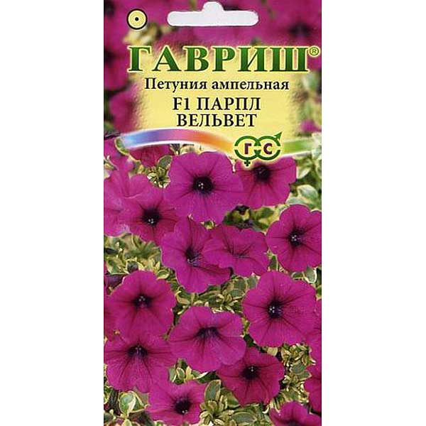 Петуния Парпл Вельвет (Сурфиния) амп. Гавриш Ц 