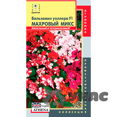 Бальзамин Уоллера Махровый микс Плазма Ц 