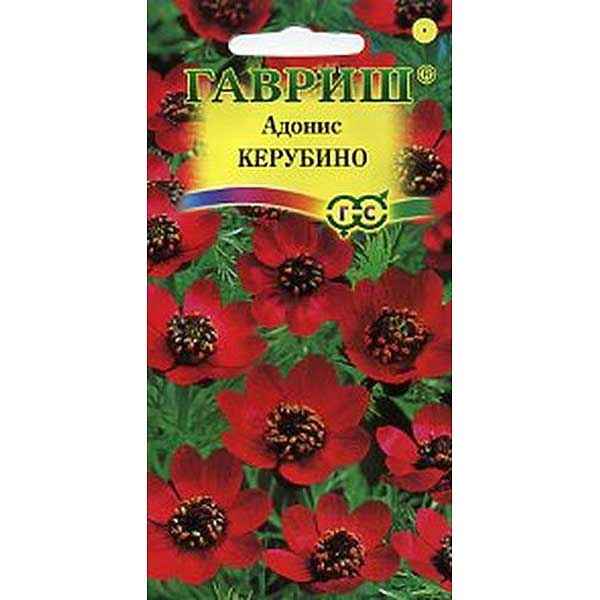 Адонис Керубино Гавриш Ц 
