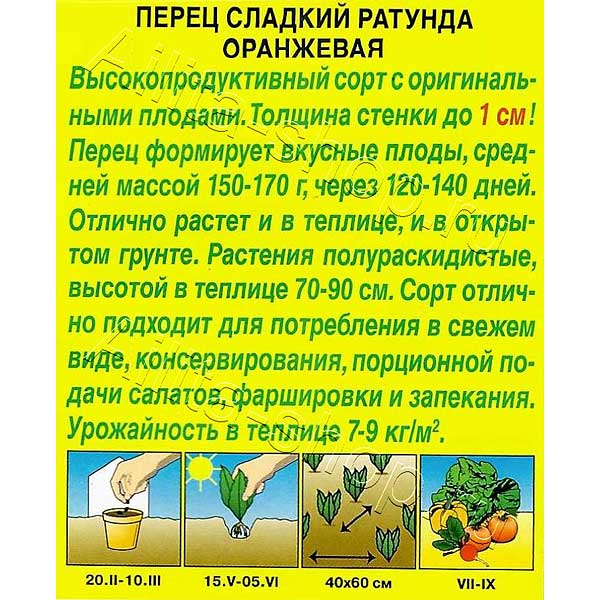 Перец Ратунда оранжевая Аэлита Ц