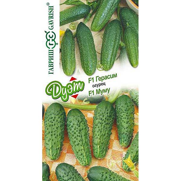 Огурец Дуэт Герасим+Муму Гавриш Ц x10