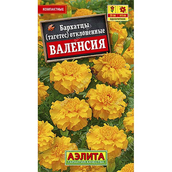 Бархатцы Валенсия отклоненные Аэлита Ц 