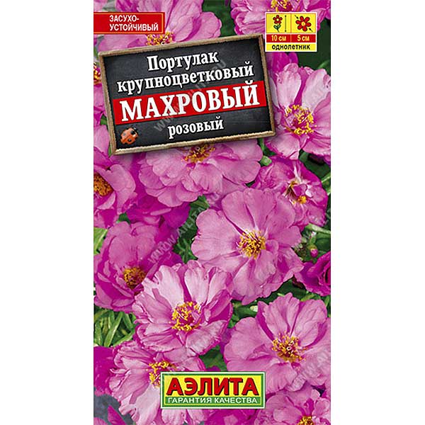 Портулак Махровый розовый Аэлита Ц 