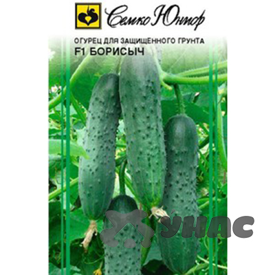 Огурец Борисыч Семко Ц