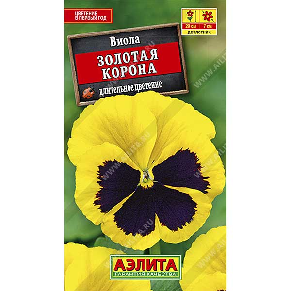 Виола Золотая корона Аэлита Ц 